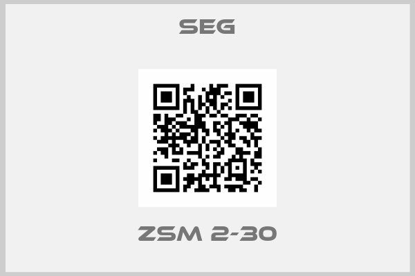 SEG-ZSM 2-30