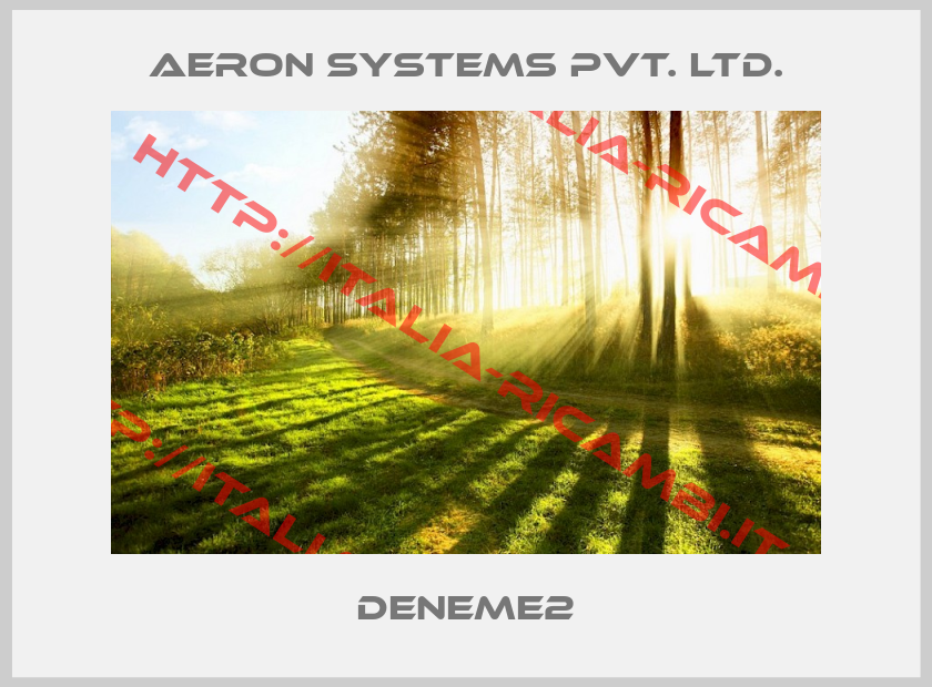 Aeron Systems Pvt. Ltd.-DENEME2