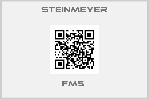 Steinmeyer-FM5 