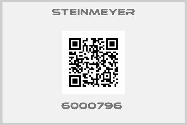 Steinmeyer-6000796 