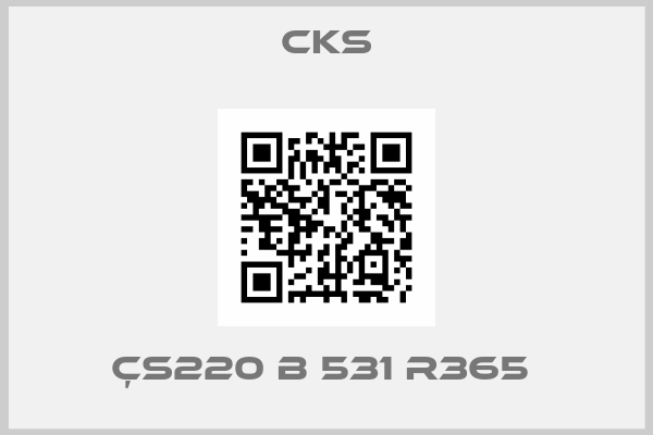 Cks-ÇS220 B 531 R365 