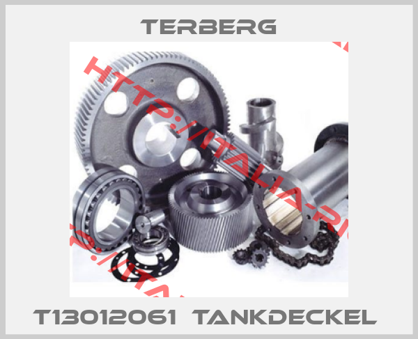 TERBERG-t13012061  Tankdeckel 