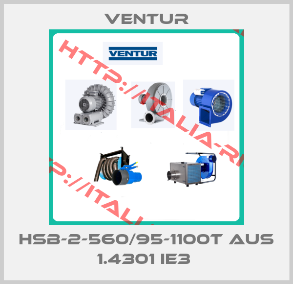 Ventur-HSB-2-560/95-1100T aus 1.4301 IE3 