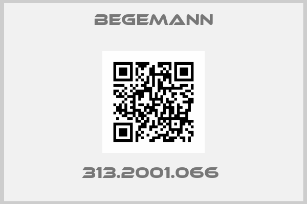 BEGEMANN-313.2001.066 
