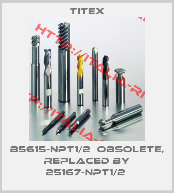 Titex-B5615-NPT1/2  OBSOLETE, replaced by 25167-NPT1/2 