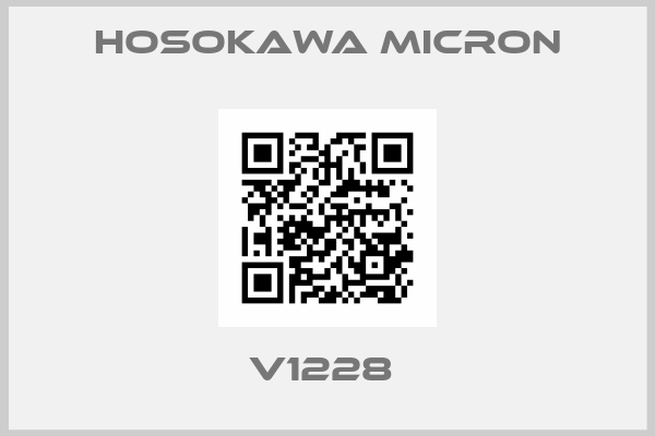Hosokawa Micron-V1228 