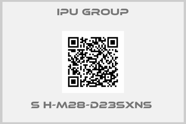 IPU Group-S H-M28-D23SXNS 