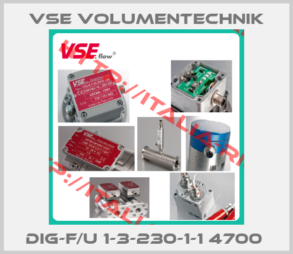 VSE Volumentechnik-DIG-F/U 1-3-230-1-1 4700 