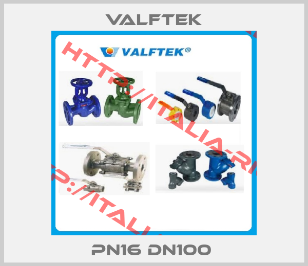 Valftek-PN16 DN100 