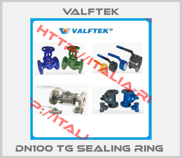 Valftek-DN100 TG Sealing Ring 