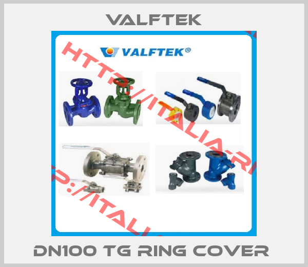 Valftek-DN100 TG Ring Cover 
