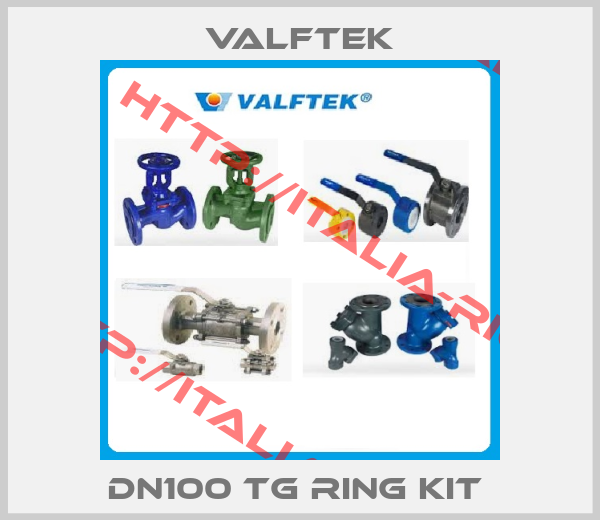 Valftek-DN100 TG Ring Kit 