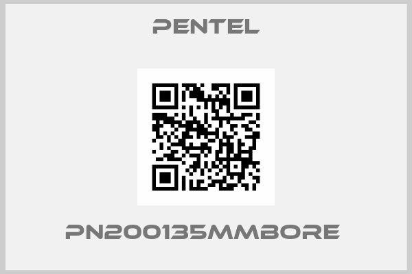 Pentel-PN200135MMBORE 