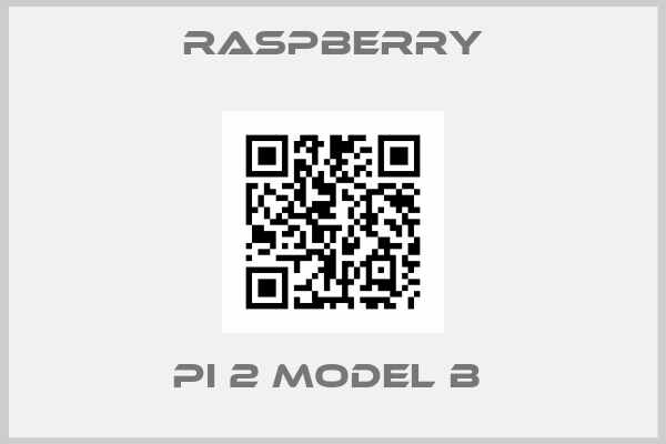 Raspberry- Pi 2 Model B 