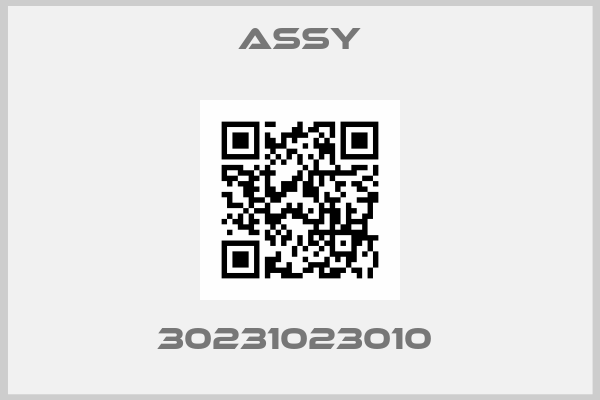 Assy-30231023010 