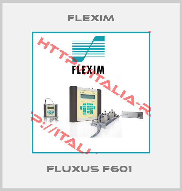 Flexim-FLUXUS F601 