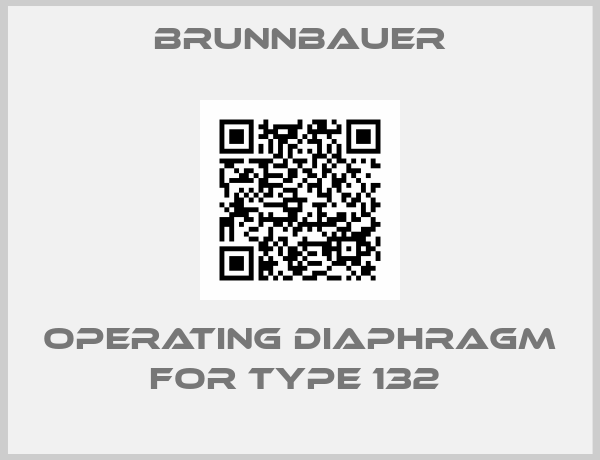 Brunnbauer-OPERATING DIAPHRAGM FOR TYPE 132 
