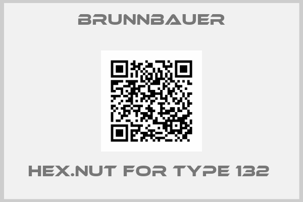 Brunnbauer-HEX.NUT FOR TYPE 132 