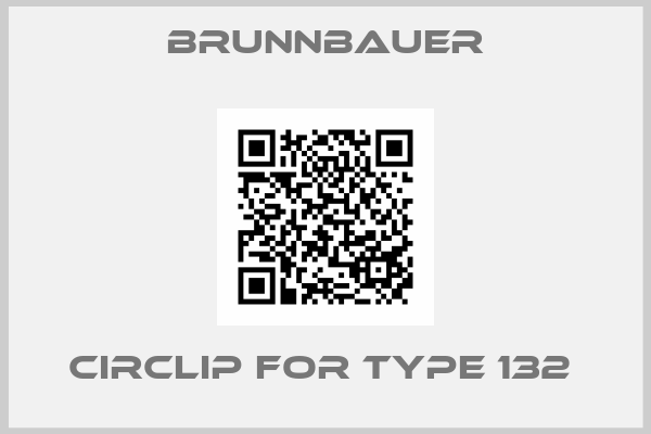 Brunnbauer-CIRCLIP FOR TYPE 132 