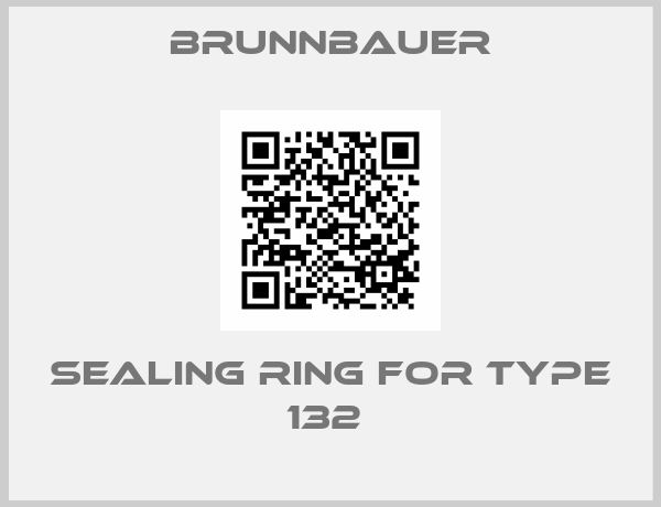 Brunnbauer-SEALING RING FOR TYPE 132 