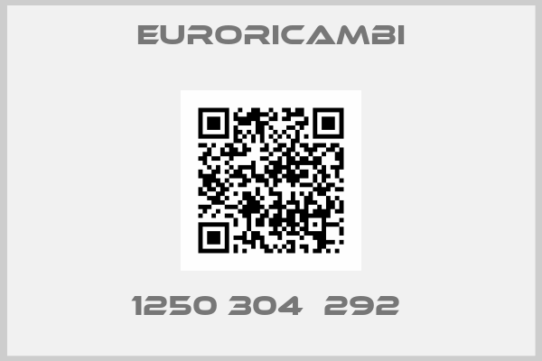 EURORICAMBI-1250 304  292 