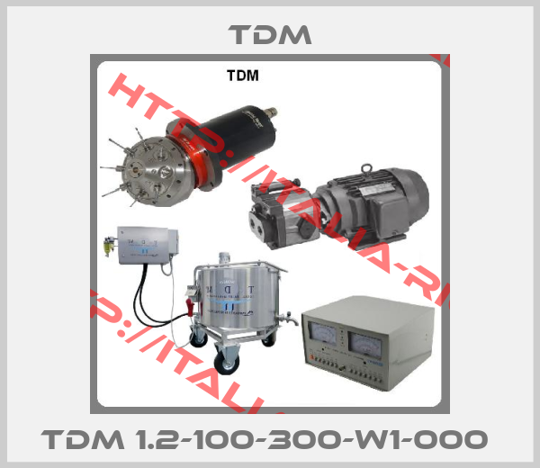 TDM-TDM 1.2-100-300-W1-000 