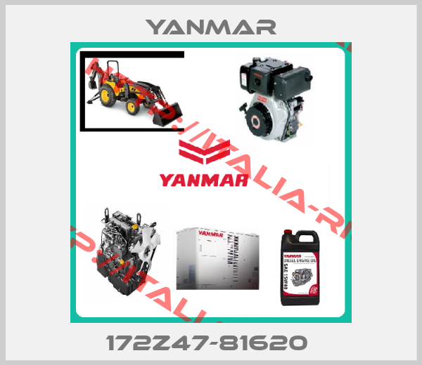 Yanmar-172Z47-81620 