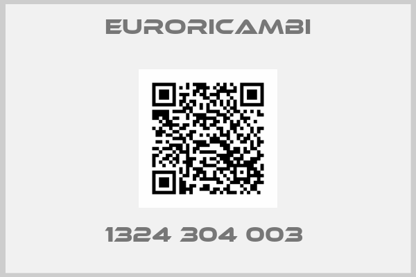 EURORICAMBI-1324 304 003 