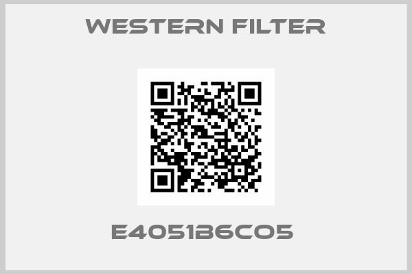 Western Filter-E4051B6CO5 