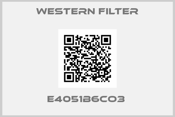 Western Filter-E4051B6CO3 