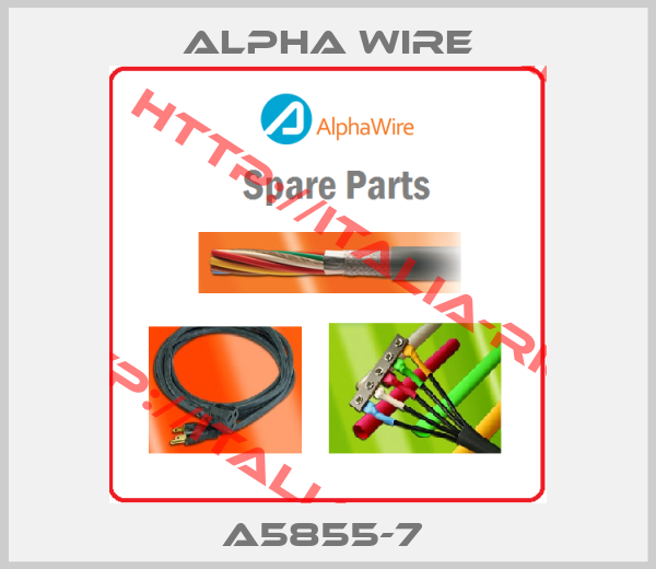 Alpha Wire-A5855-7 