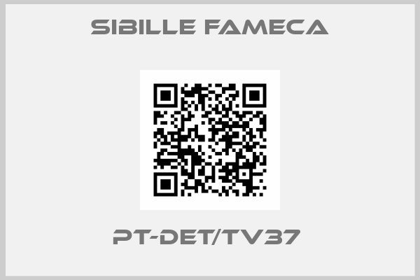 Sibille Fameca-PT-DET/TV37 