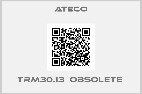 Ateco-TRM30.13  OBSOLETE 