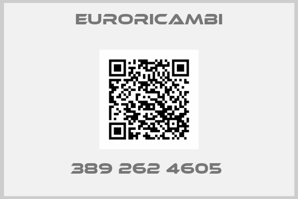 EURORICAMBI-389 262 4605 