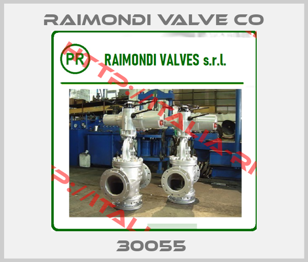 RAIMONDI VALVE CO-30055 