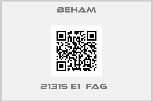 Beham-21315 E1  FAG  