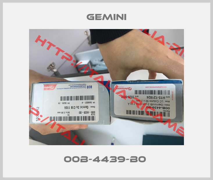 Gemini-00B-4439-B0 