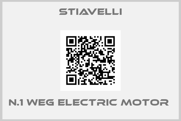 Stiavelli-N.1 WEG ELECTRIC MOTOR 