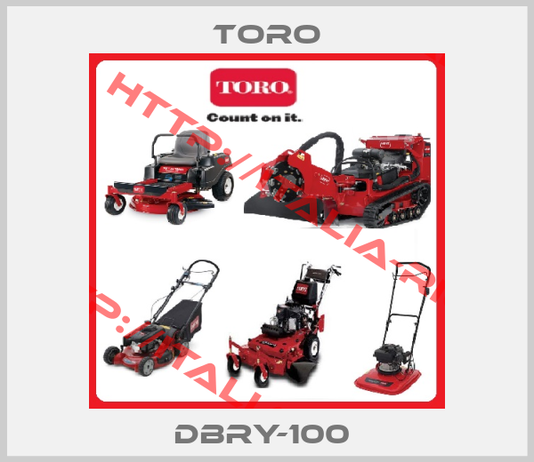 Toro-DBRY-100 