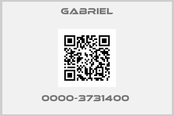 Gabriel-0000-3731400 