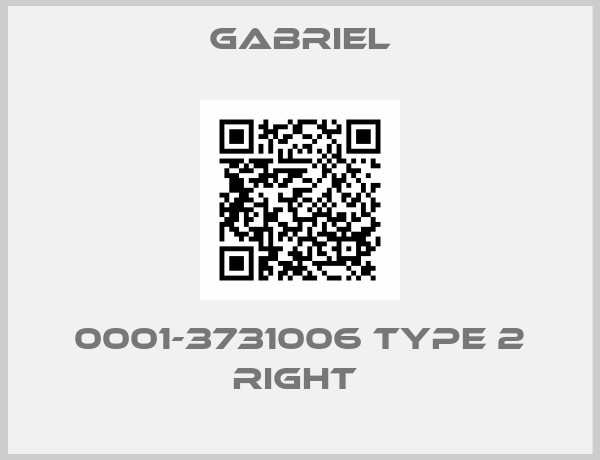 Gabriel-0001-3731006 Type 2 Right 
