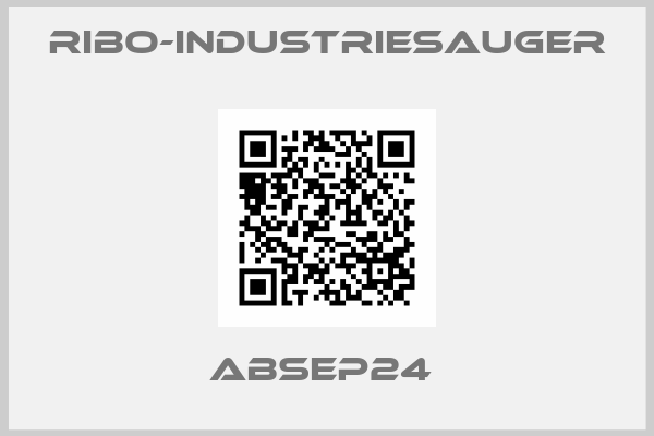 RIBO-Industriesauger-ABSEP24 