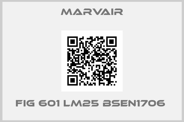 MARVAIR-FIG 601 LM25 BSEN1706 