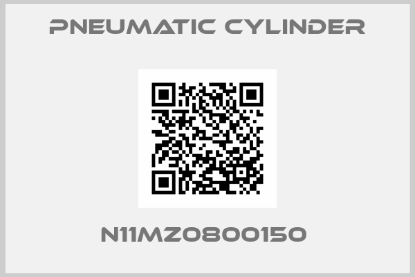pneumatic cylinder-N11MZ0800150 