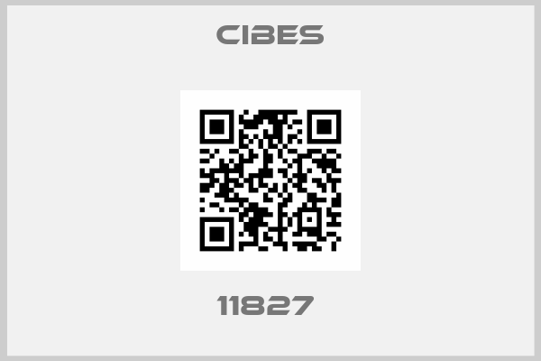 Cibes-11827 
