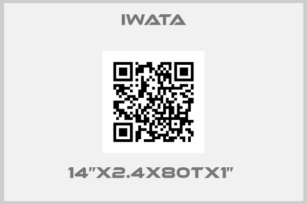 Iwata-14”x2.4x80Tx1” 