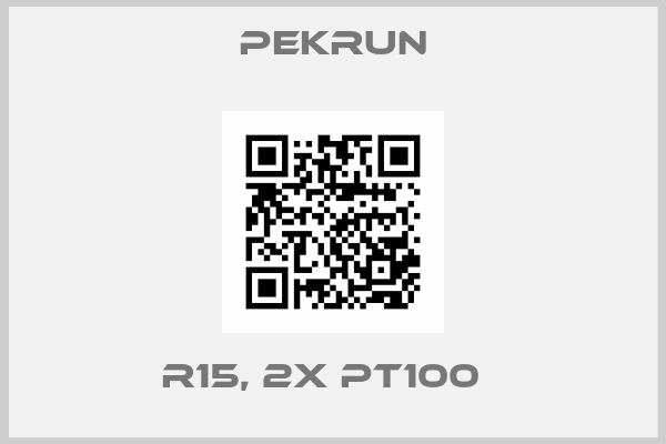 Pekrun-R15, 2X Pt100  