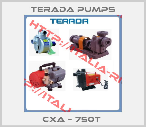 Terada Pumps-CXA – 750T 