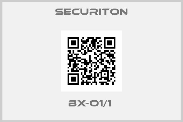 Securiton-BX-O1/1 
