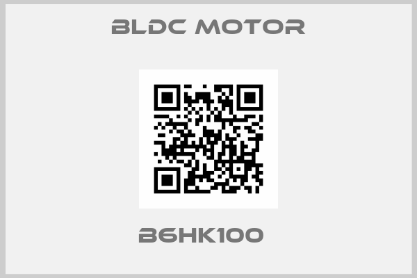BLDC MOTOR-B6HK100  
